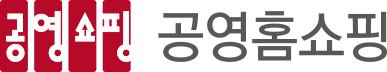 공영쇼핑 공영홈쇼핑 Wordmark 휘장 기본형