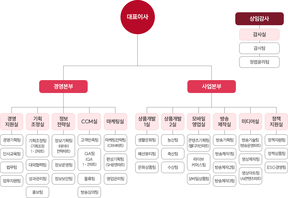공영홈쇼핑 조직도
